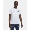 Men's Nike Paris Saint-Germain Dri-FIT Pre-Match Top -Aura/Aura