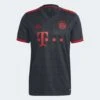 ADIDAS Men's FC Bayern 2022/2023 3rd Jersey - Night Grey 1 ADIDAS Men's FC Bayern 2022/2023 3rd Jersey - Night Grey -Daily Flex Shop 2fc2df7378c24a7d98c2ae84009dcaf6 9366