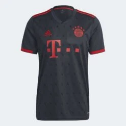 ADIDAS Men's FC Bayern 2022/2023 3rd Jersey - Night Grey