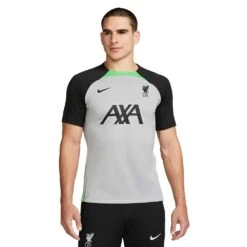 Men's Liverpool FC Strike Nike Dri-FIT Knit Soccer Top - Wolf Grey/Poison Green/Black -Daily Flex Shop AURORA DX3020 013 PHSFM001 2000 1