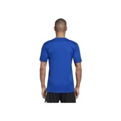 ADIDAS Campeon 19 Jersey - Bold Blue / White -Daily Flex Shop DP6810 01